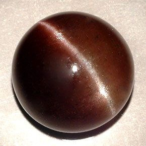 11.06캐럿 천연 다크 브라운 Cat's Eye Scapolite, 라운드 컷, 13.87 mm, 투명한