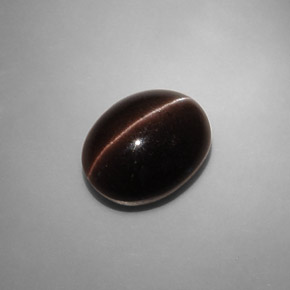 6.90캐럿 천연 다크 브라운 Cat's Eye Scapolite, 타원형 컷, 13.2×10.3 mm, 투명한