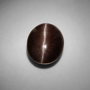 8.66캐럿 천연 다크 브라운 Cat's Eye Scapolite, 타원형 컷, 13.6×11.1 mm, 투명한