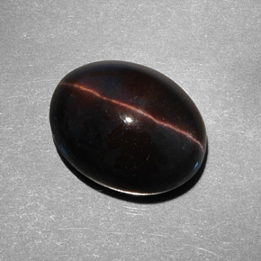 9.21캐럿 천연 다크 브라운 Cat's Eye Scapolite, 타원형 컷, 14.6×11.5 mm, 투명한