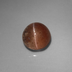 2.31캐럿 천연 브라운 Cat's Eye Scapolite, 투명한, 7.5×7.3 mm, 투명/반투명