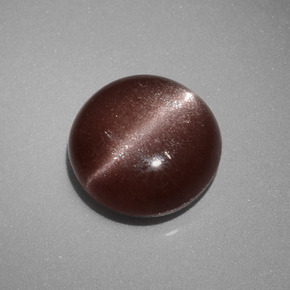2.40캐럿 천연 브라운 Cat's Eye Scapolite, 라운드 컷, 8.56 mm, 불투명체