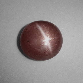 1.54캐럿 천연 브라운 Cat's Eye Scapolite, 라운드 컷, 7.62 mm, 불투명체