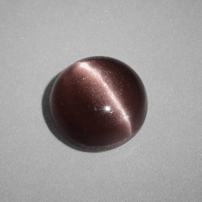 1.58캐럿 천연 브라운 Cat's Eye Scapolite, 라운드 컷, 7.05 mm, 불투명체
