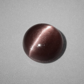 1.58캐럿 천연 브라운 Cat's Eye Scapolite, 라운드 컷, 7.05 mm, 불투명체