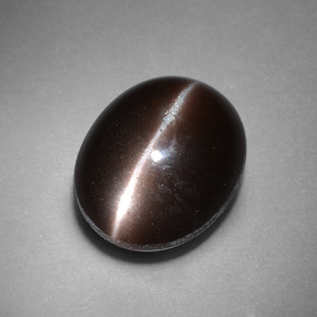 4.41캐럿 천연 다크 브라운 Cat's Eye Scapolite, 타원형 컷, 11.3×9.3 mm, 불투명체