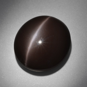 24.01캐럿 천연 다크 브라운 Cat's Eye Scapolite, 타원형 컷, 18×16.2 mm, 불투명체