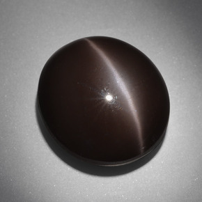 24.01캐럿 천연 다크 브라운 Cat's Eye Scapolite, 타원형 컷, 18×16.2 mm, 불투명체