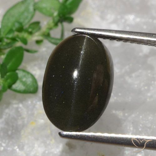 6.38캐럿 천연 흑갈색 캣츠아이 스카폴라이트, 타원형 컷, 투명한