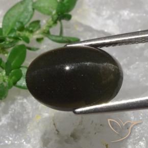 6.38캐럿 천연 흑갈색 캣츠아이 스카폴라이트, 타원형 컷, 투명한