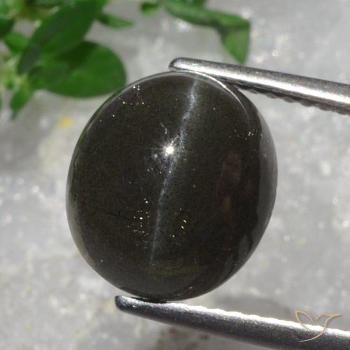 5.43ct 자연스러운 다크 초콜릿 브라운 캣츠아이 스카폴라이트, 타원형, 투명한