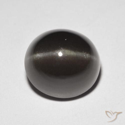 3.32캐럿 천연 흑갈색 Cat's Eye Scapolite, 타원형 컷, 8.9×8.3 mm, 투명한