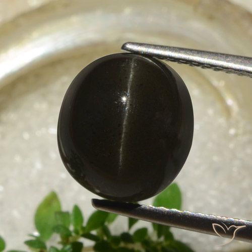 5.83ct 자연스러운 검은색 캣츠아이 스카폴라이트, 타원형, 투명한