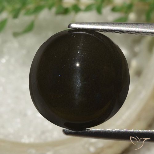 6.53ct 자연스러운 어두운 갈색 캣츠아이 스카폴라이트, 둥근, 투명한