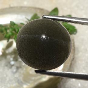 6.50캐럿 천연 딥 브라운 Cat's Eye Scapolite, 라운드 컷, 12.25 mm, 투명한