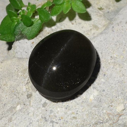 7.45ct 자연스러운 검은색 캣츠아이 스카폴라이트, 타원형, 투명한