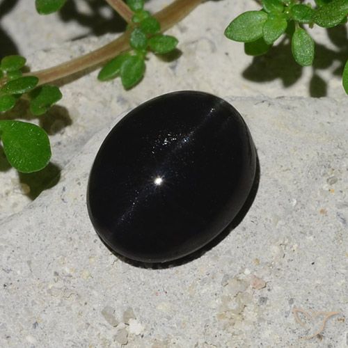 4.10ct 자연스러운 검은색 캣츠아이 스카폴라이트, 타원형, 불투명체