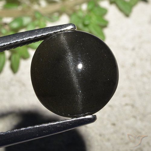 6.48ct 자연스러운 검은색 캣츠아이 스카폴라이트, 둥근, 투명한
