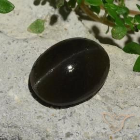 5.10캐럿 천연 검정색 Cat's Eye Scapolite, 타원형 컷, 11.9×9.1 mm, 투명한