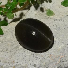 5.10캐럿 천연 검정색 Cat's Eye Scapolite, 타원형 컷, 11.9×9.1 mm, 투명한