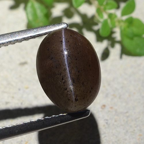 4.04캐럿 천연 웜 블랙 캣츠아이 스카폴라이트, 타원형 컷, 투명한