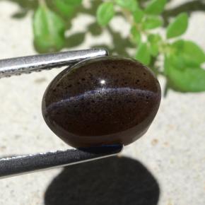 4.04캐럿 천연 웜 블랙 캣츠아이 스카폴라이트, 타원형 컷, 투명한