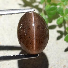 4.55캐럿 천연 딥 오렌지 브라운 Cat's Eye Scapolite, 타원형 컷, 10.7×7.9 mm, 투명한