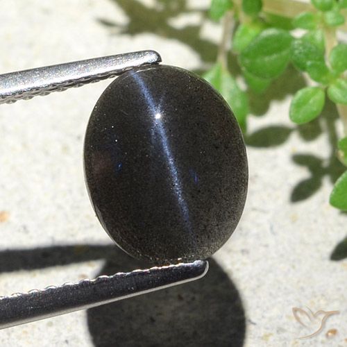 2.85ct 자연스러운 검은색 캣츠아이 스카폴라이트, 타원형, 불투명체