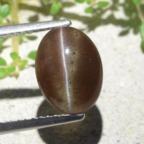3.84캐럿 천연 웜 브라운 Cat's Eye Scapolite, 타원형 컷, 10.6×8 mm, 투명한