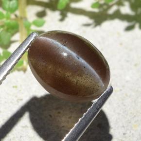 3.84캐럿 천연 웜 브라운 Cat's Eye Scapolite, 타원형 컷, 10.6×8 mm, 투명한