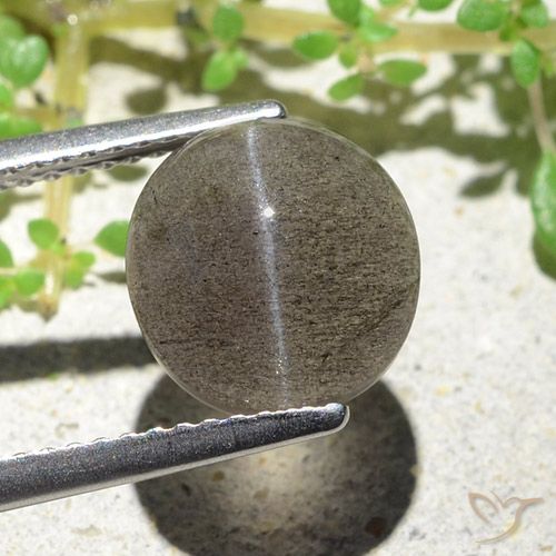 3.94캐럿 천연 미디엄 라이트 브라운 Cat's Eye Scapolite, 타원형 컷, 9.6×9.2 mm, 투명한