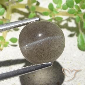 3.94캐럿 천연 미디엄 라이트 브라운 Cat's Eye Scapolite, 타원형 컷, 9.6×9.2 mm, 투명한