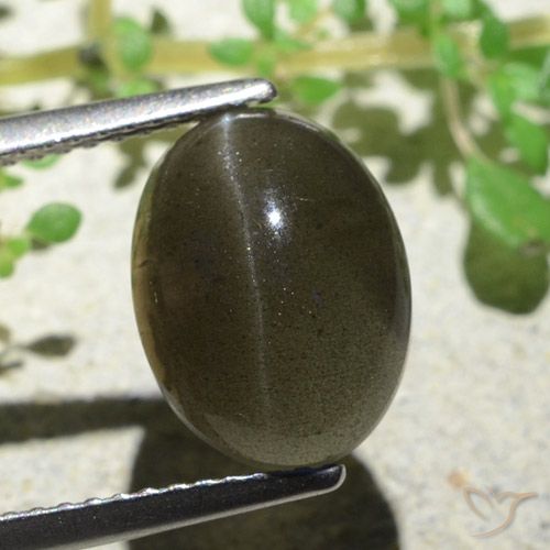 4.70ct 자연스러운 미디엄 라이트 브라운 캣츠아이 스카폴라이트, 타원형, 투명한