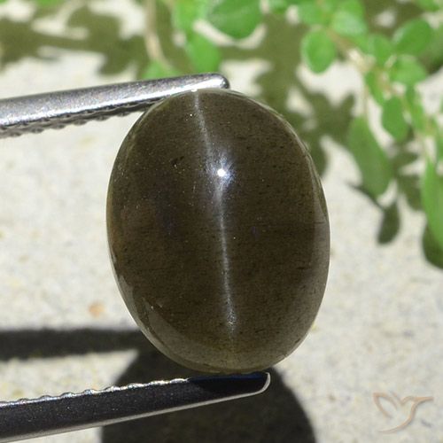 4.97ct 자연스러운 미디엄 라이트 브라운 캣츠아이 스카폴라이트, 타원형, 투명한