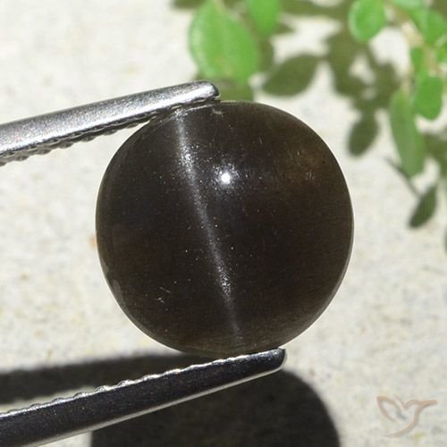 3.87ct 자연스러운 어두운 갈색 캣츠아이 스카폴라이트, 둥근, 투명한