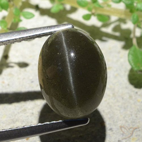 4.66캐럿 천연 녹갈색 Cat's Eye Scapolite, 타원형 컷, 11.1×8.3 mm, 투명한