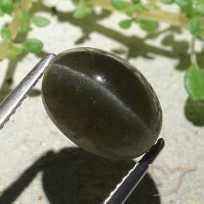 4.66캐럿 천연 녹갈색 Cat's Eye Scapolite, 타원형 컷, 11.1×8.3 mm, 투명한