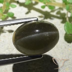 4.66캐럿 천연 녹갈색 Cat's Eye Scapolite, 타원형 컷, 11.1×8.3 mm, 투명한