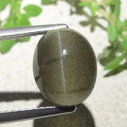 4.00캐럿 천연 녹갈색 Cat's Eye Scapolite, 타원형 컷, 10×8 mm, 투명한