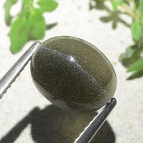 4.00캐럿 천연 녹갈색 Cat's Eye Scapolite, 타원형 컷, 10×8 mm, 투명한