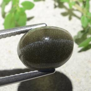4.00캐럿 천연 녹갈색 Cat's Eye Scapolite, 타원형 컷, 10×8 mm, 투명한