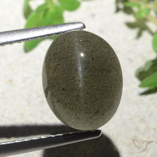 4.55ct 자연스러운 미디엄 브라운 캣츠아이 스카폴라이트, 타원형, 투명한