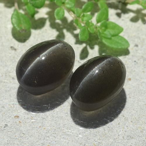 6.12캐럿 천연 검정색 Cat's Eye Scapolite 보석, 타원형 컷, 9.6×7 mm, 투명한