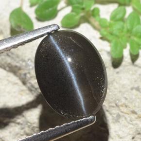2.56캐럿 천연 검정색 Cat's Eye Scapolite, 타원형 컷, 10.2×7.5 mm, 투명한