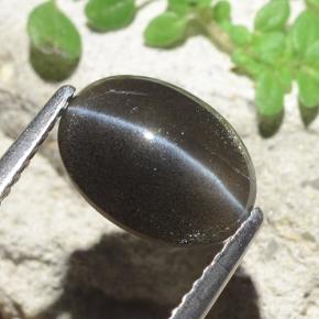 2.56캐럿 천연 검정색 Cat's Eye Scapolite, 타원형 컷, 10.2×7.5 mm, 투명한