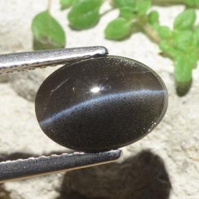 2.56캐럿 천연 검정색 Cat's Eye Scapolite, 타원형 컷, 10.2×7.5 mm, 투명한