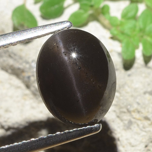 3.42캐럿 천연 검은색 캣츠아이 스카폴라이트, 타원형 컷, 투명한