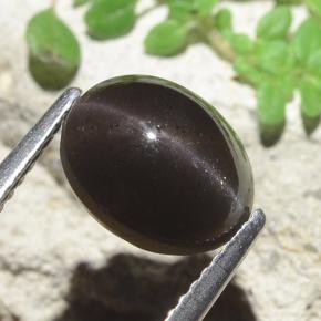 3.42캐럿 천연 검은색 캣츠아이 스카폴라이트, 타원형 컷, 투명한