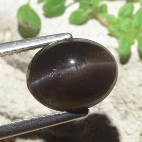 3.42캐럿 천연 검은색 캣츠아이 스카폴라이트, 타원형 컷, 투명한