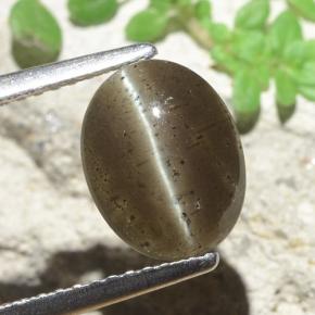 2.60캐럿 천연 미디엄 브라운 캣츠아이 스카폴라이트, 타원형 컷, 투명한